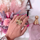 Anello lulla